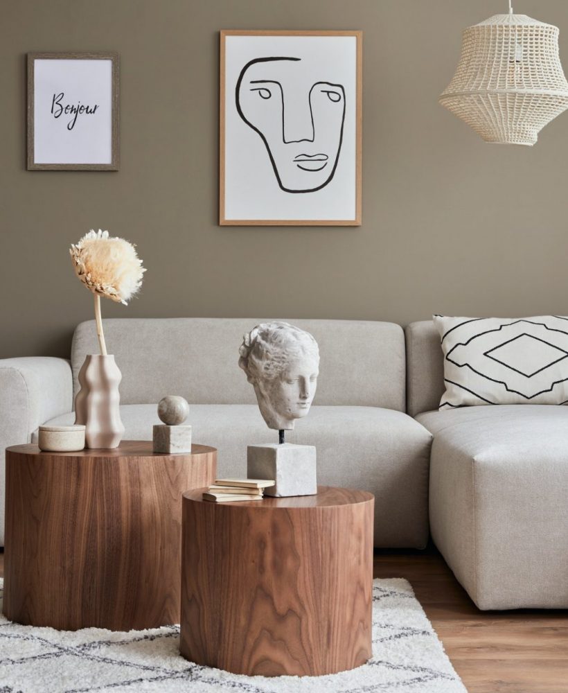 Interior design of stylish living room