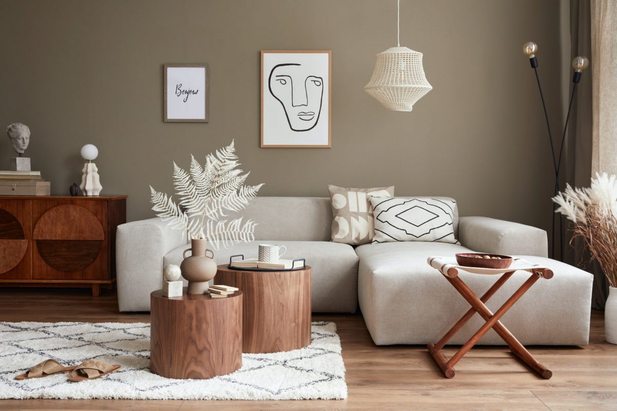 Interior design of stylish living room