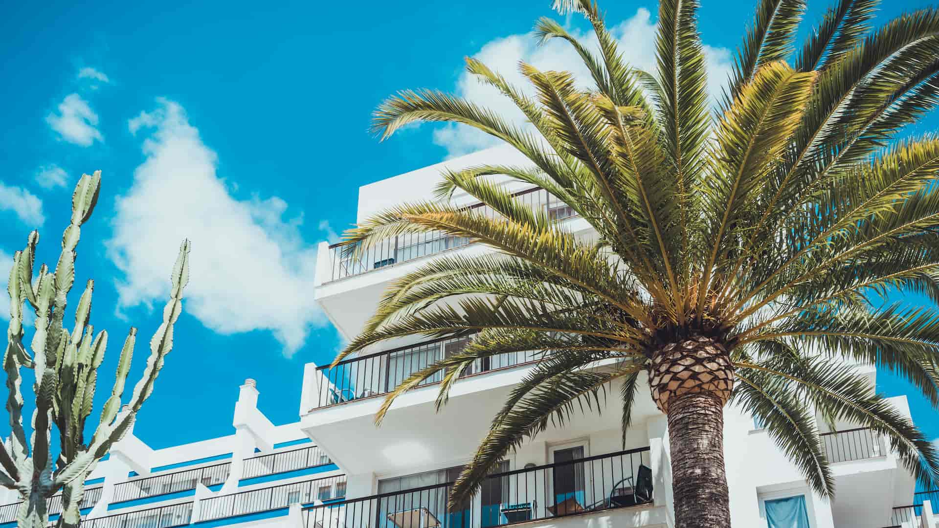 Palm-Framed Coastal Hotel